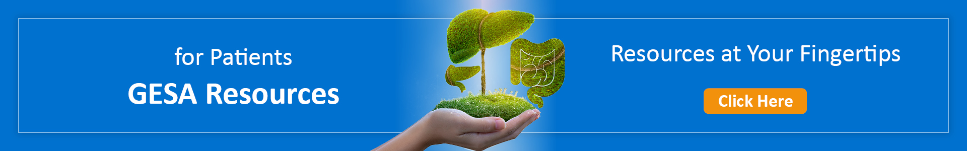 Patient Resources 1920x300 Banner.jpg